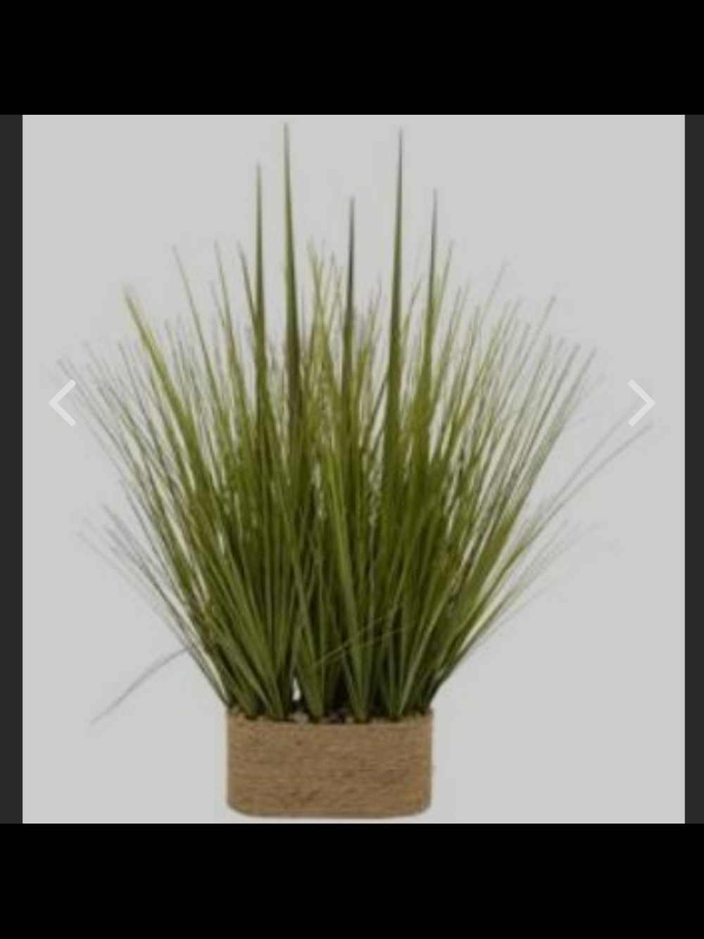 Olive Green Artificial Grass in Jute Pot